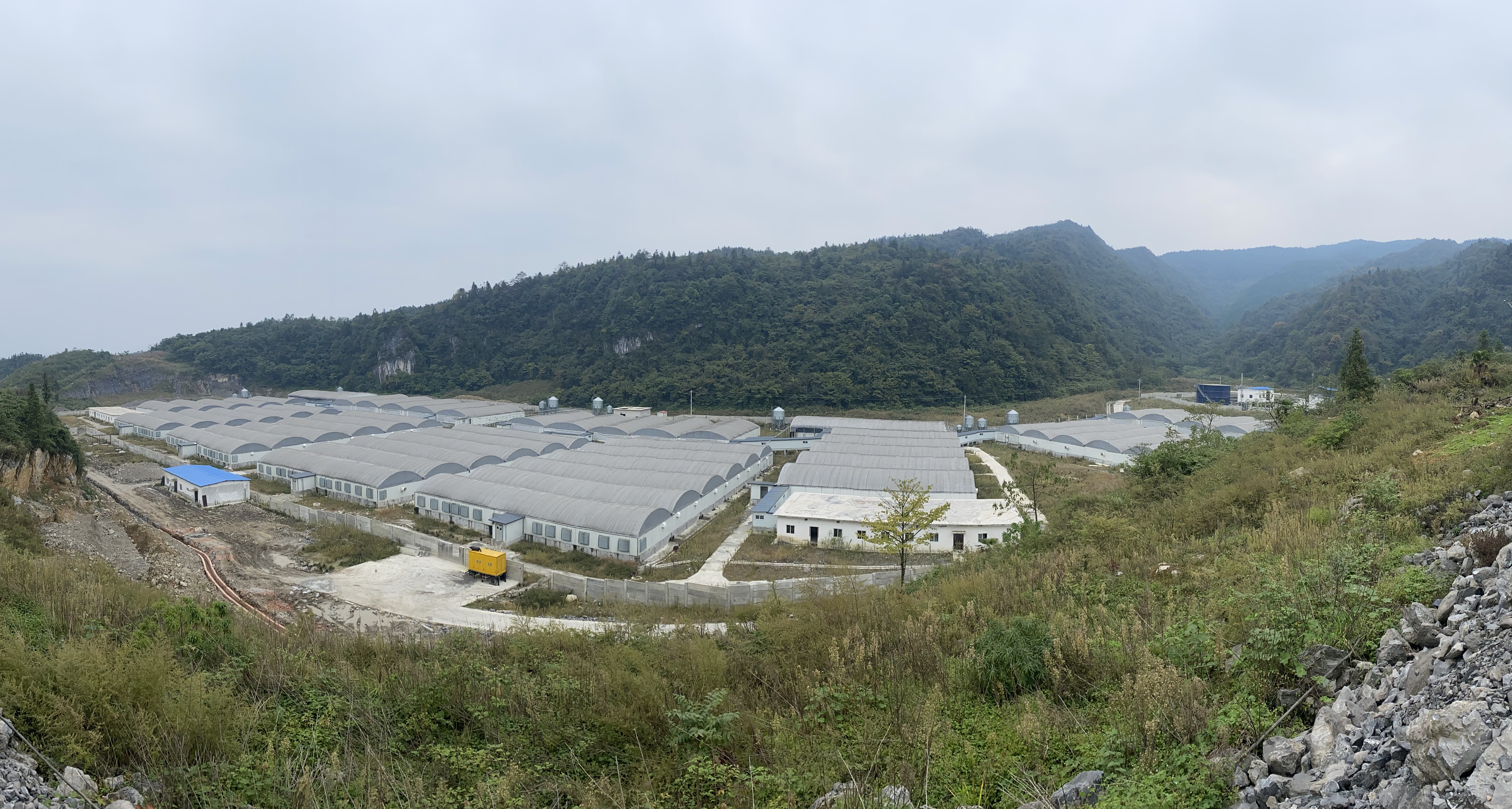 �ϳ�����������