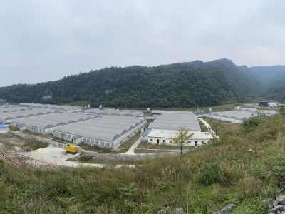 ���ݹ����������